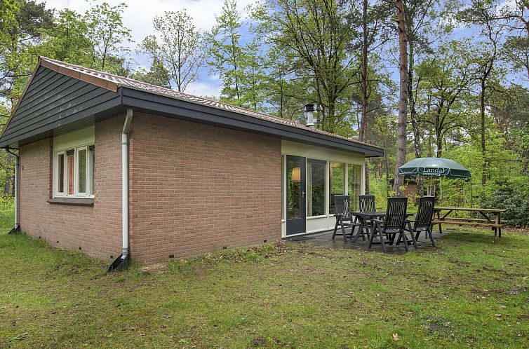 Heideheuvel | 4-persoons kinderbungalow | 4CK