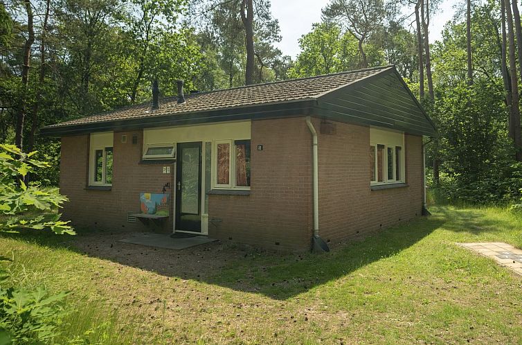 Heideheuvel | 4-persoons kinderbungalow | 4CK