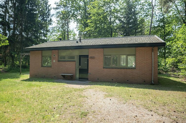 Heideheuvel | 6-persoons bungalow | 6CE1