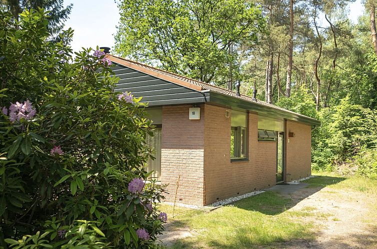 Heideheuvel | 6-persoons bungalow | 6CE