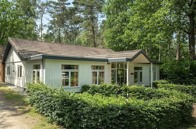 Heideheuvel | 12-persoons bungalow | 12L1