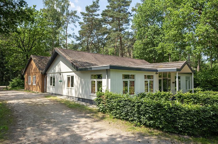 Heideheuvel | 12-persoons bungalow | 12L1