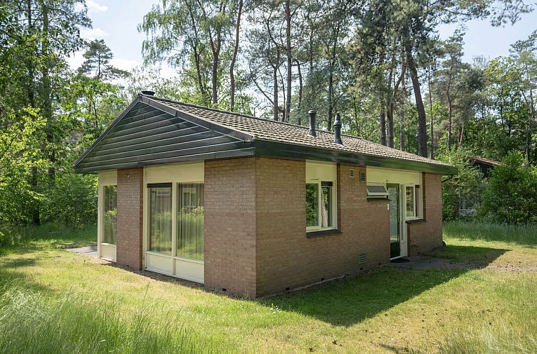 Heideheuvel | 4-persoons bungalow | 4C2