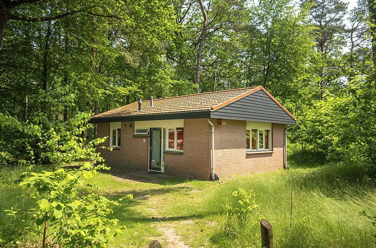 Heideheuvel | 4-persoons bungalow | 4B