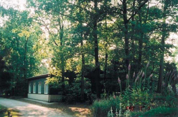 Bungalow Kootwijkerduin