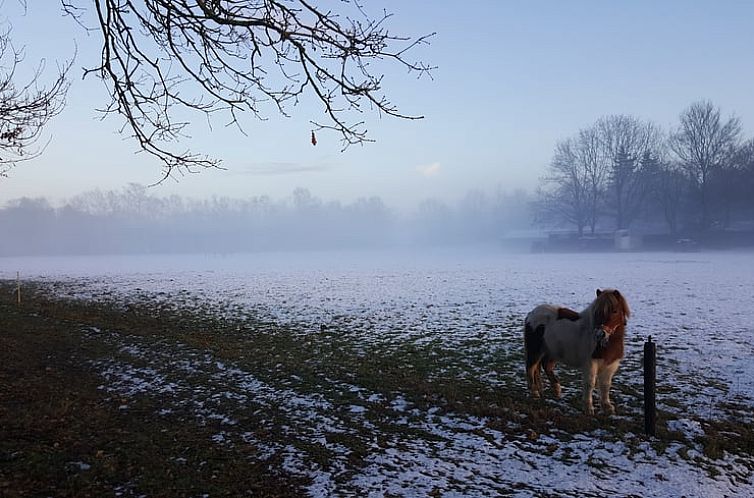 Vakantiehuisje in Kootwijk