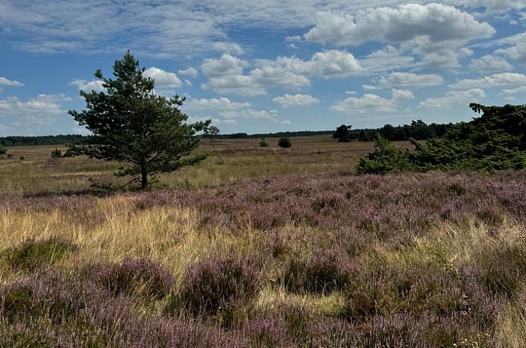 Huisje in Ermelo