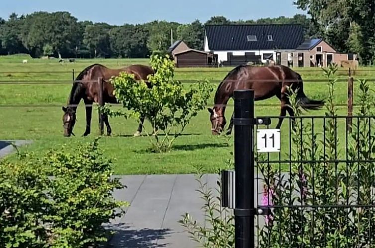 Huisje in 't Harde