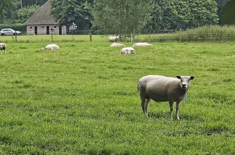 Huisje in 't Harde