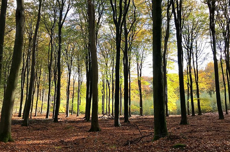 Buitenplaats Sprielderbosch 23 "De Zwijnenstal"