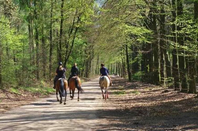 Mooie 2 persoons vakantiewoning gelegen in de bossen op de