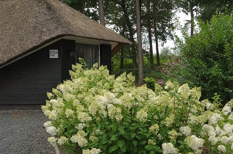 Vakantiehuis in Putten