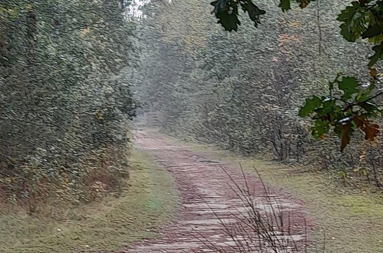 Huisje in Putten