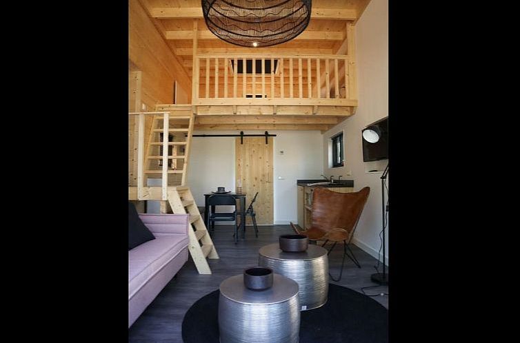 Vakantiehuis Tiny House 4