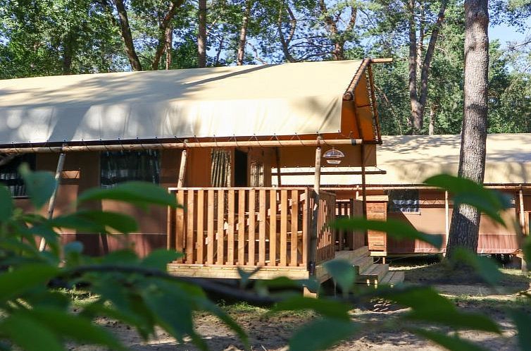 Vakantiehuis Lodgetent 2