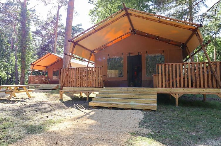 Vakantiehuis Lodgetent 2