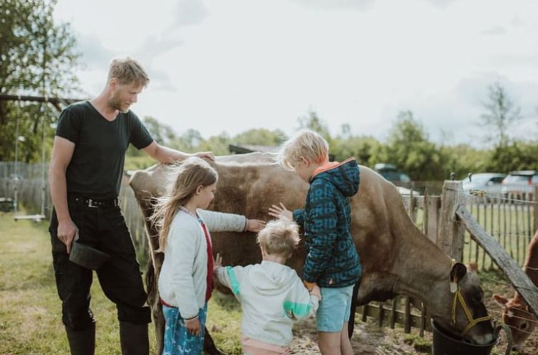 Vakantiehuisje in Oosterwolde Gelderland