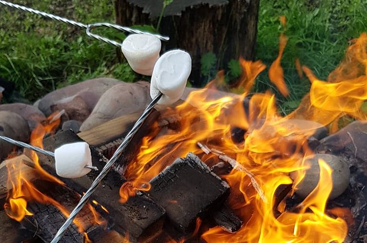 Vakantiehuisje in Oosterwolde Gelderland