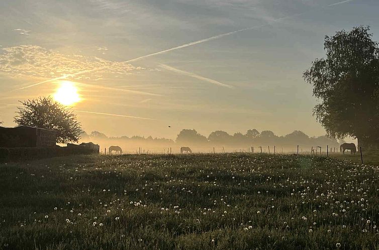 Sfeervol 2 persoons vakantiehuis landelijk gelegen in Epe,