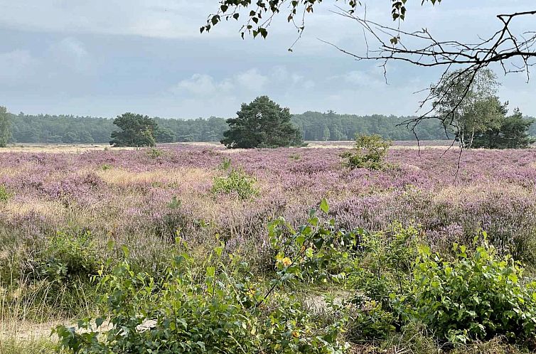 Sfeervol 2 persoons vakantiehuis landelijk gelegen in Epe,