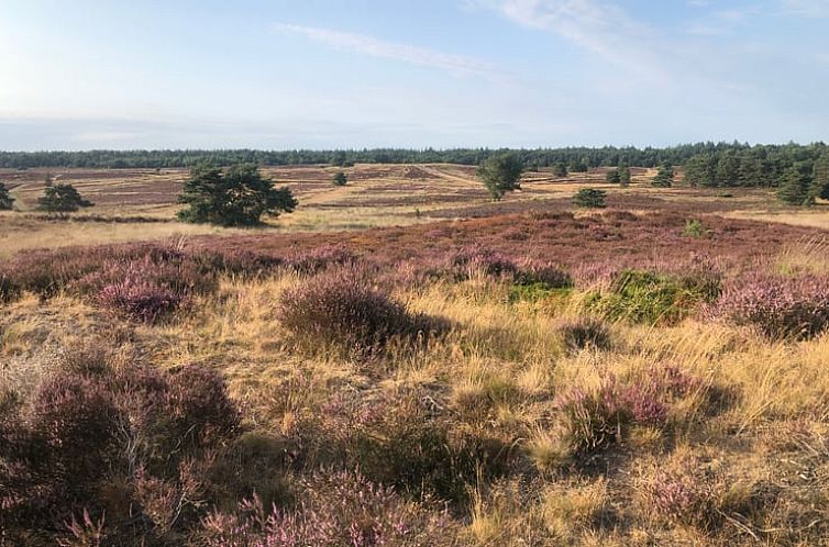 Vakantiehuisje in Vierhouten