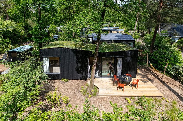 TED Tiny House