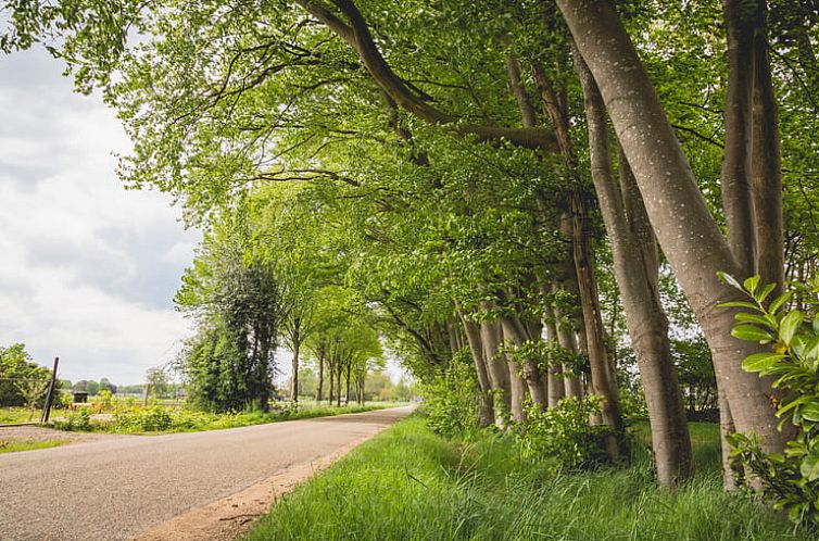 Huisje in Uddel