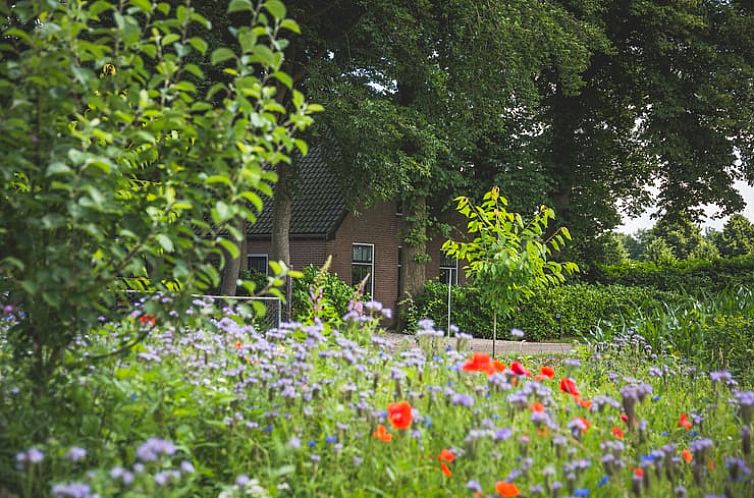 Huisje in Uddel