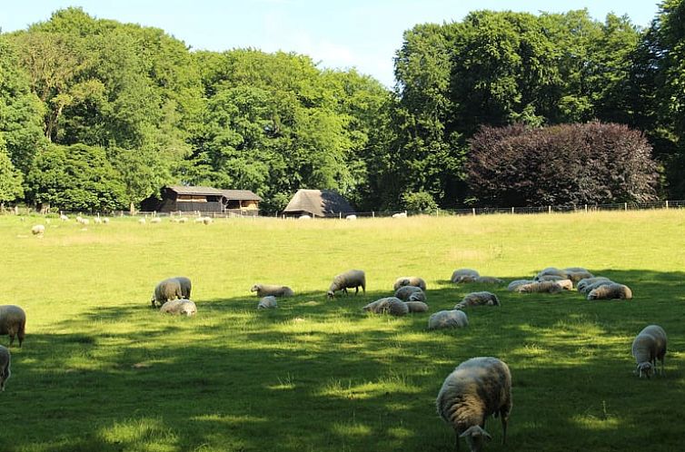 Vakantiehuisje in Rheden