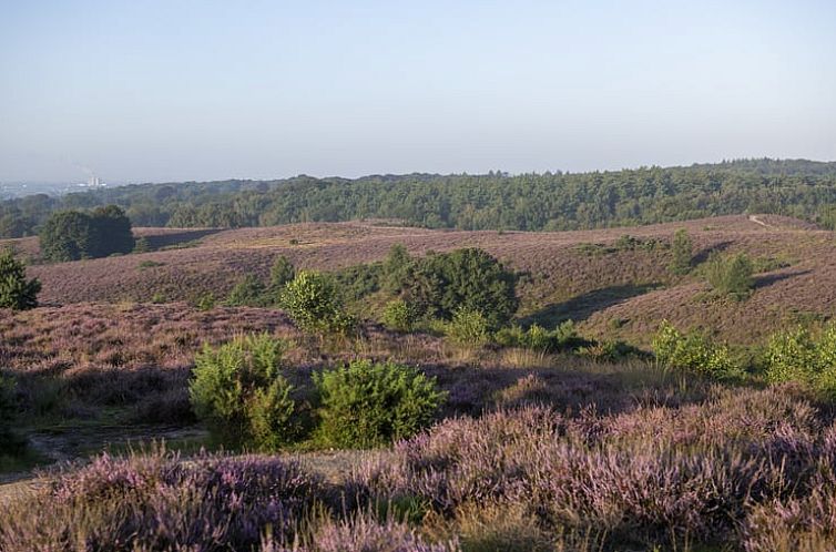 Huisje in Rheden