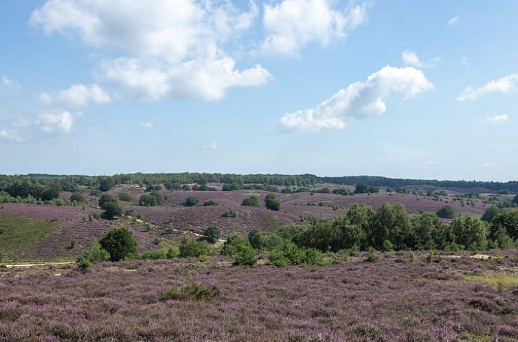 Huisje in Rheden