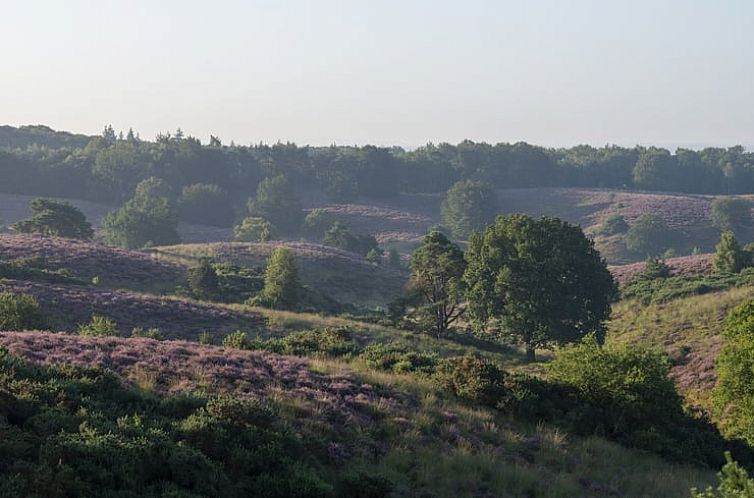 Vakantiehuisje in Rheden