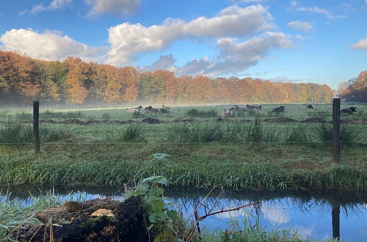 Vakantiehuisje in Doornspijk