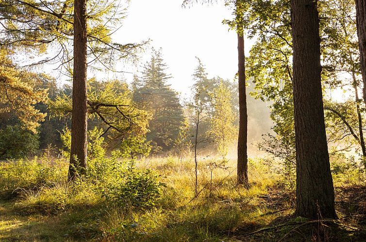 De Reebok Luxe Chalet Veluwe