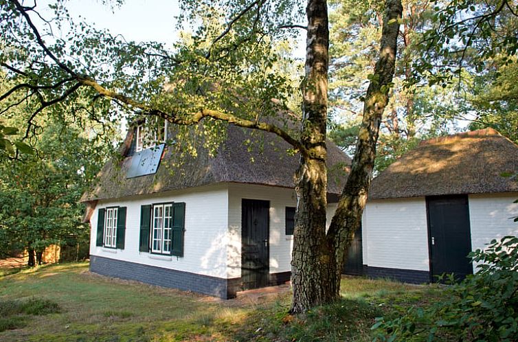 Vakantiehuisje in Doornspijk