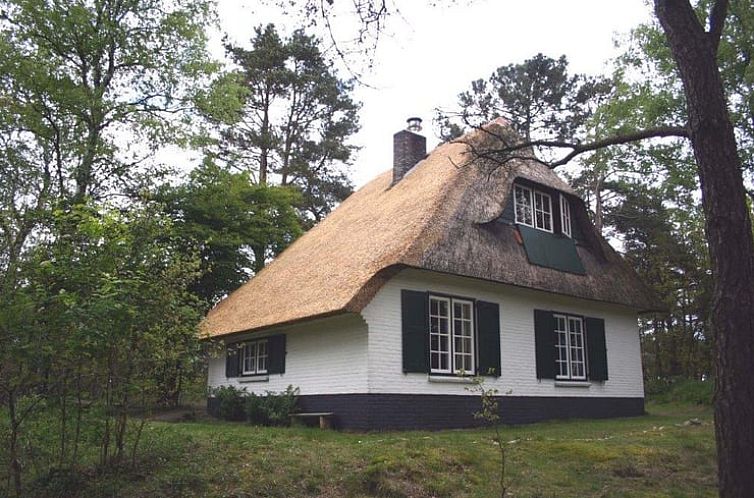 Vakantiehuisje in Doornspijk