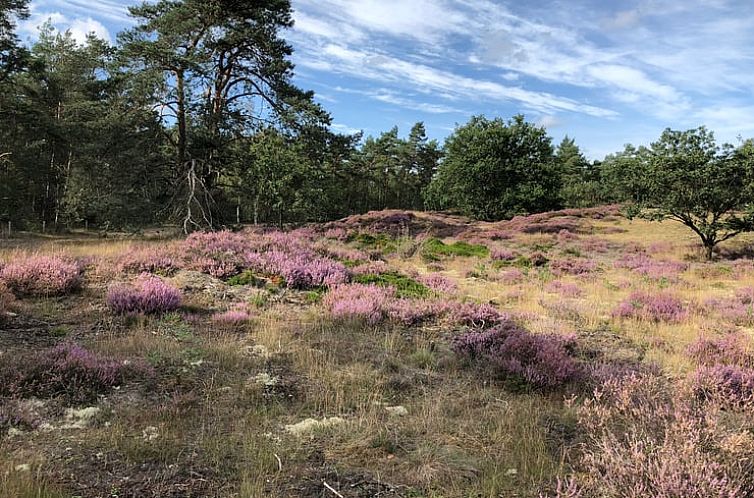 Vakantiehuisje in Doornspijk