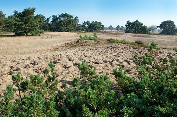 Vakantiehuisje in Doornspijk