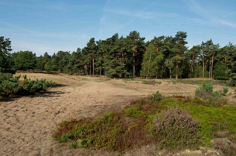 Vakantiehuisje in Doornspijk