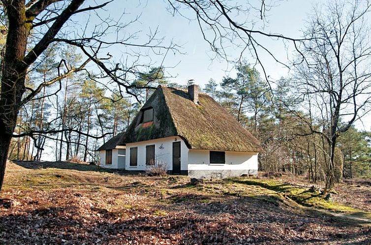 Vakantiehuisje in Doornspijk