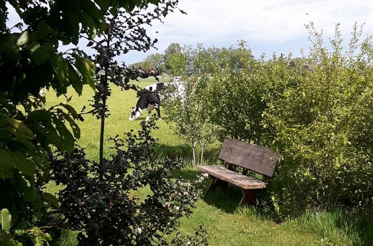 Van Luttikhuizen chaletverhuur Zwaantje 1