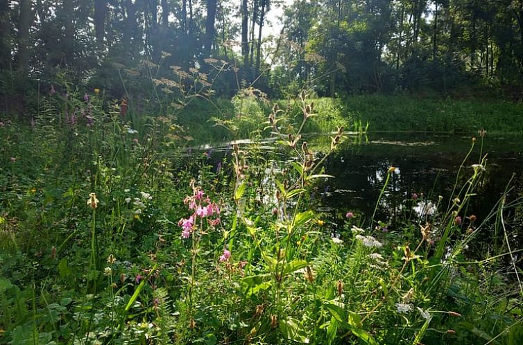 Vakantiehuisje in Nijkerk