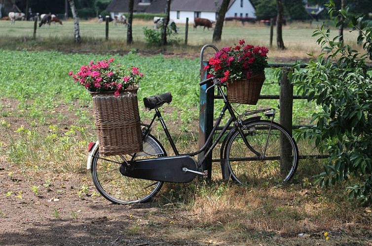 Huisje in Stroe