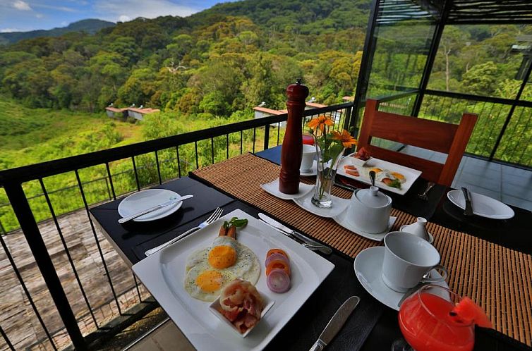 The Rainforest Ecolodge - Sinharaja