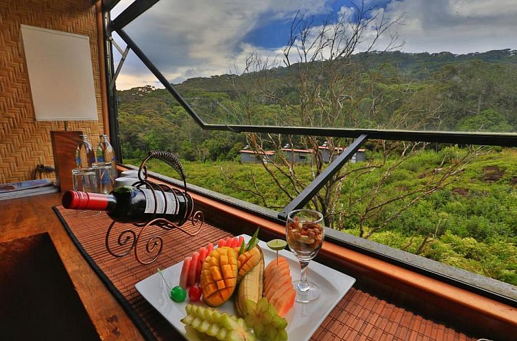 The Rainforest Ecolodge - Sinharaja