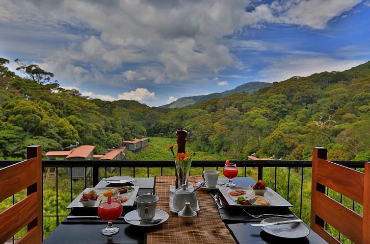 The Rainforest Ecolodge - Sinharaja