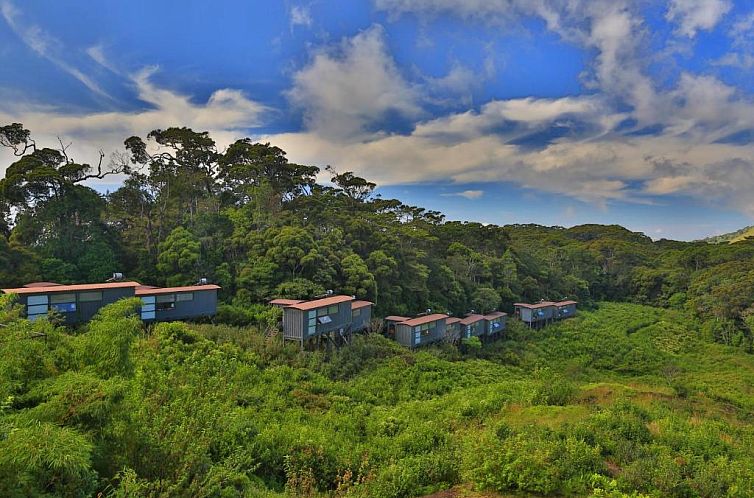 The Rainforest Ecolodge - Sinharaja