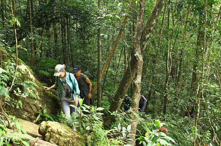 The Rainforest Ecolodge - Sinharaja