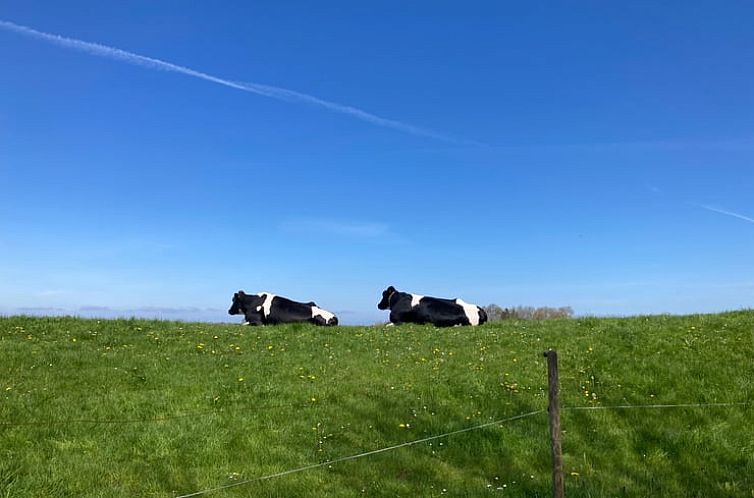 Huisje in Warfhuizen