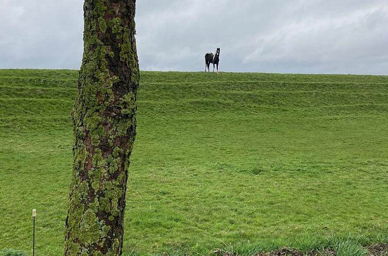 Huisje in Warfhuizen